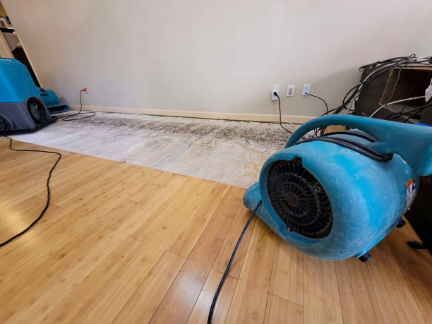 Reliable Basement Flood Cleanup contractor in Onondaga, MI by Hirex Water Damage
