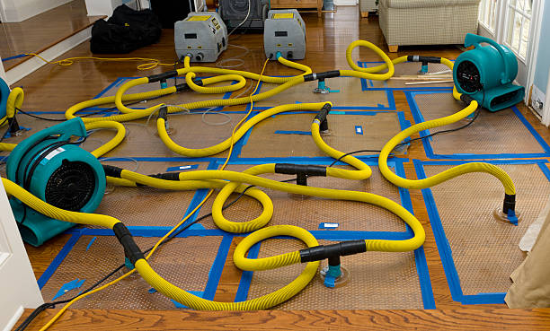Professional Basement Flood Cleanup technician working in Onondaga, MI